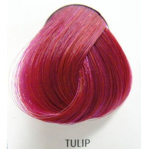 farba na vlasy DIRECTIONS - Tulip