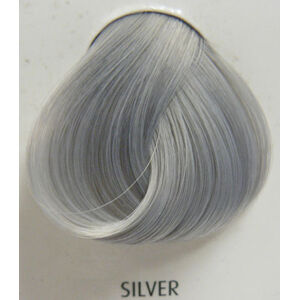 farba na vlasy DIRECTIONS - Silver