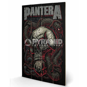drevený obraz Pantera - Snake Eye - PYRAMID POSTERS - LW10924P