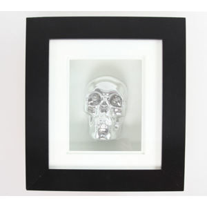 obraz Silver Skull In Frame - B0330B4