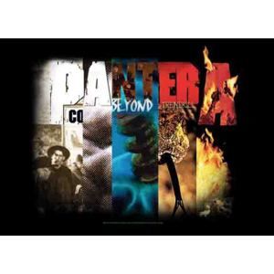 HEART ROCK Pantera Album Collage