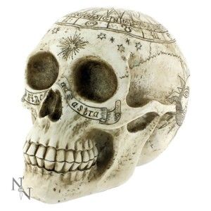 dekorácia Astrological Skull - D1418D5