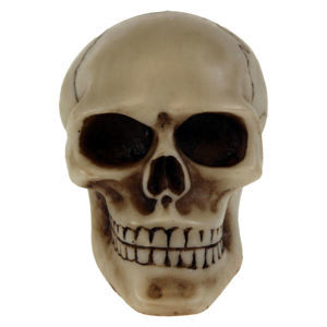 dekorácia (hlavica radiacou páky) Skull Gear - U0484B4