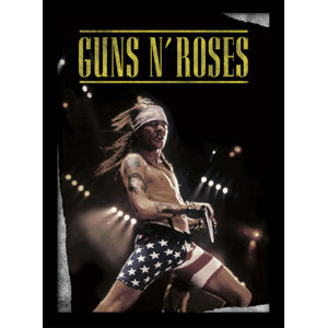obraz Guns N' Roses - (&&string0&&) - PYRAMID POSTERS - FP10863P