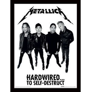 obraz Metallica - FP11906P