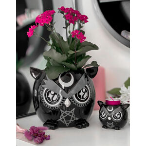 dekorácia (kvetináč) KILLSTAR - Owl - Black - KSRA005836