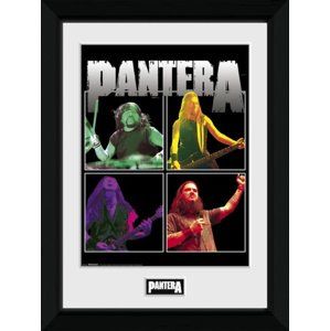 obraz Pantera - GB posters - PFC3124