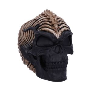 dekorácia Spine Head Skull - B5390S0