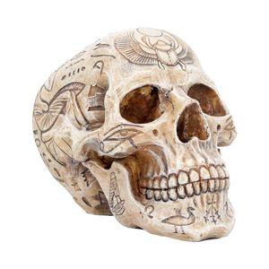 dekorácia Hieroglyphic Skull - D4227M8