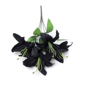 nábytok ALCHEMY GOTHIC Black Lily
