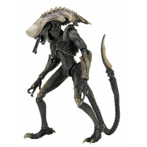 figúrka Alien vs Predator - Chrysalis Alien - POŠKODENÉ - MY296
