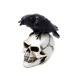 dekorácia ALCHEMY GOTHIC - Raven Skull - VM7 ALCHEMY GOTHIC