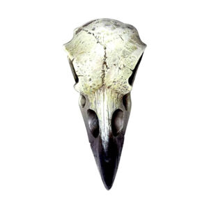dekorácia ALCHEMY GOTHIC - Small Raven Skull - V66 ALCHEMY GOTHIC