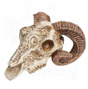 figurka ALCHEMY GOTHIC Skrimshaw Ram Skull